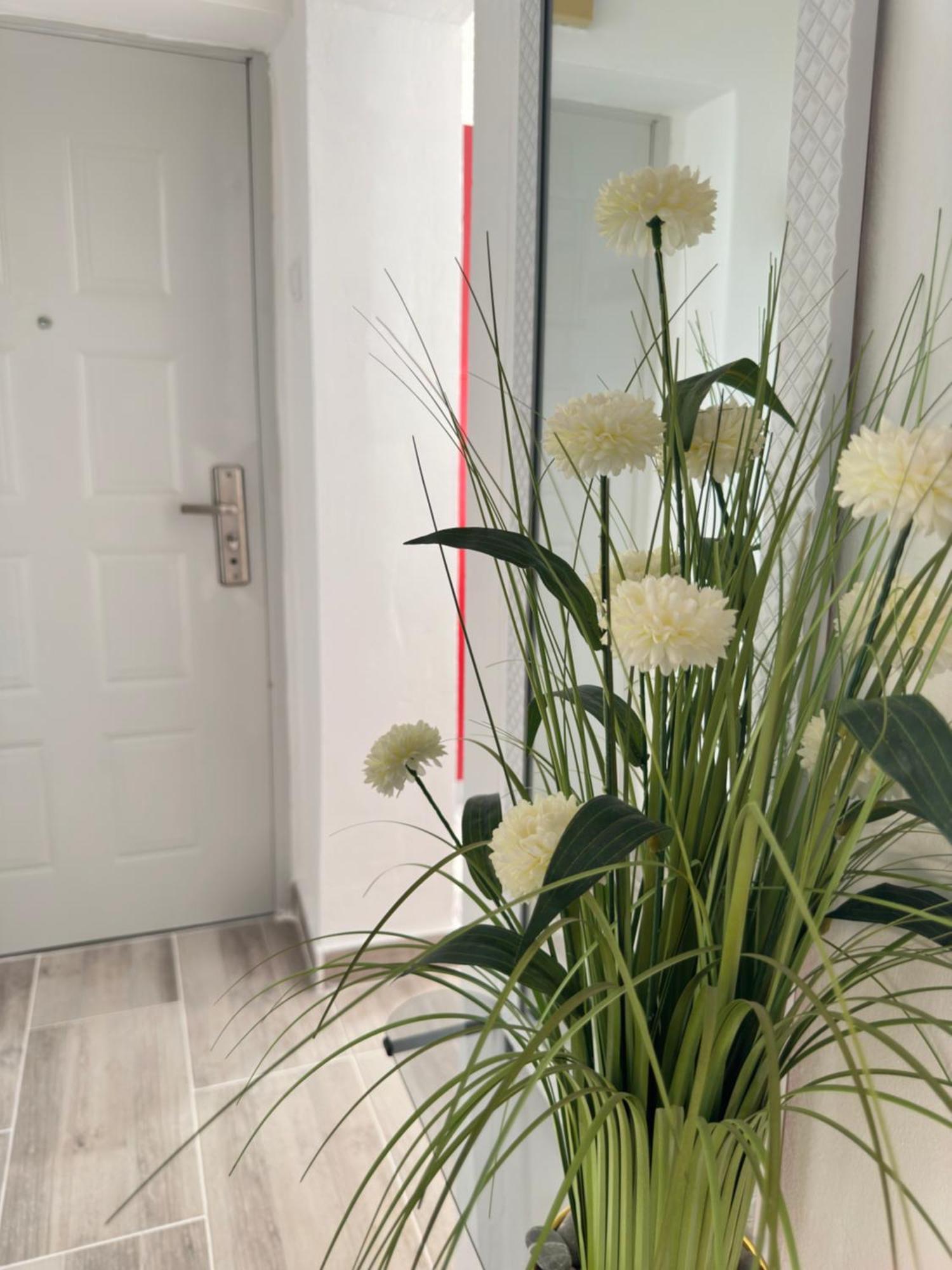 Apartment Maky Zadar Ngoại thất bức ảnh